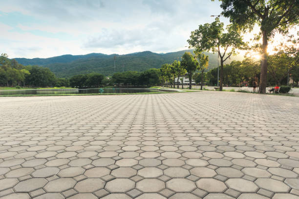 Best Commercial Driveway Pavers  in Deer Park, TX